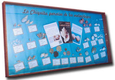 Panel de muestra Caracoles en La Chiquita