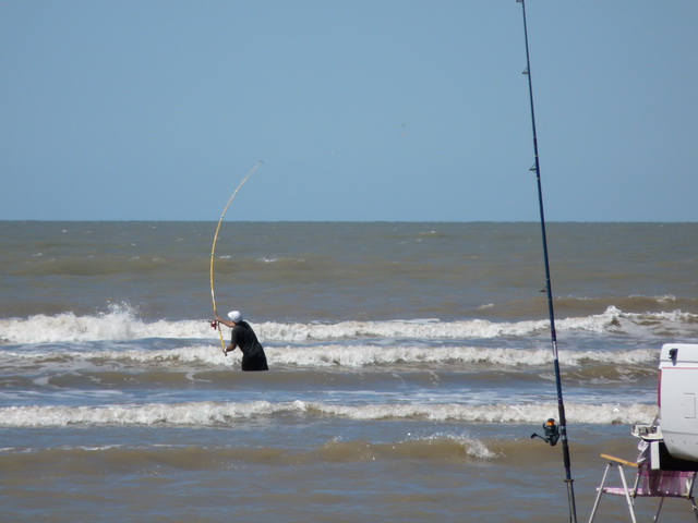 Concurso Pesca | 28.02.2010